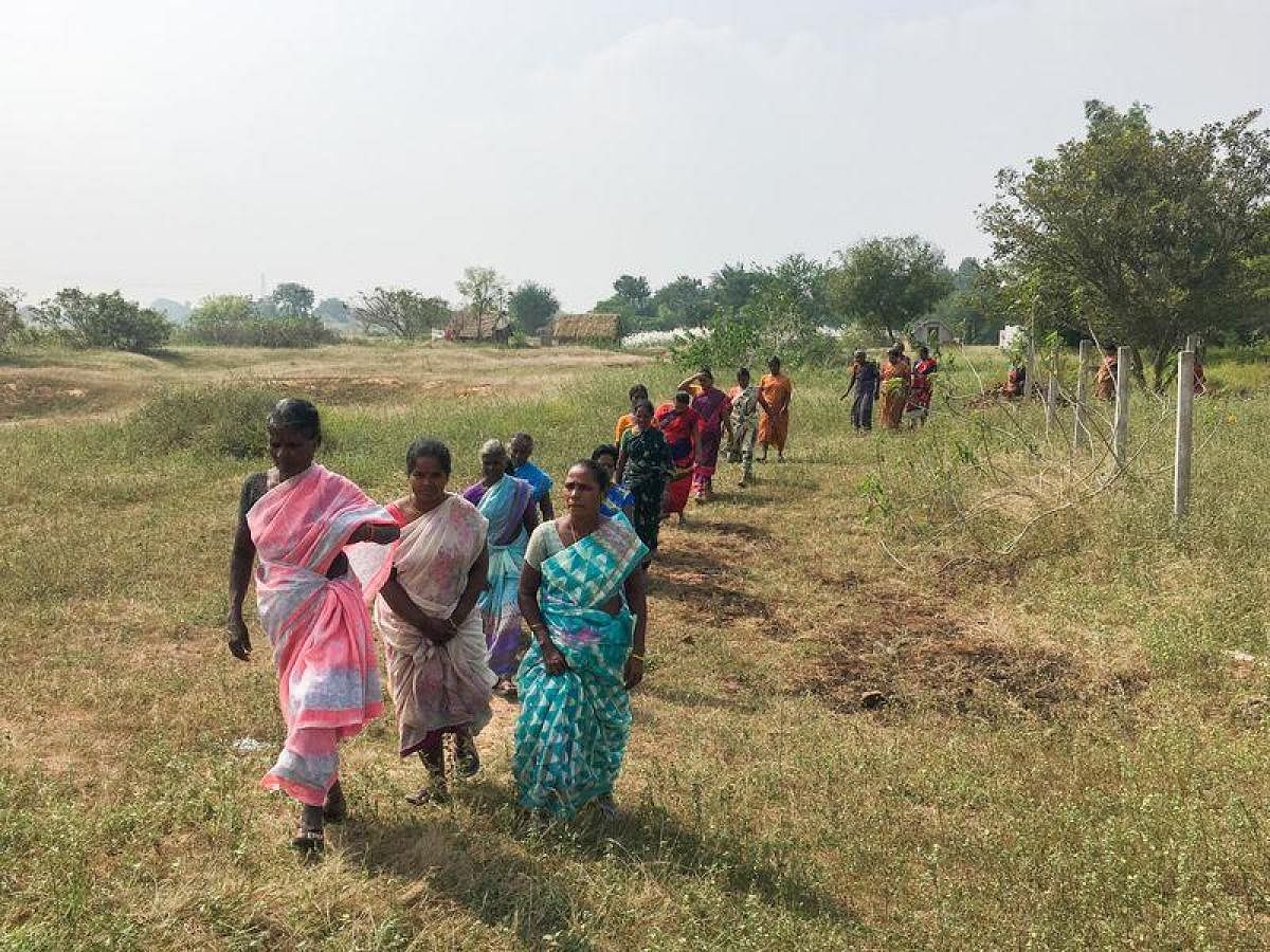 Women on way to the field at Pallur in Tamil Nadu.
