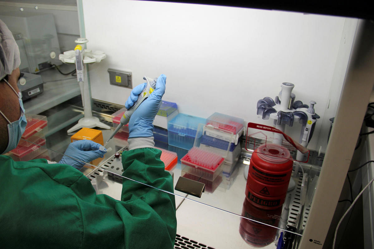 After dipping the paper strip into a processed sample, a line appears, indicating whether the target molecule was detected or not. The test can accurately quantify the amount of target in a sample and test for multiple targets at once. Reuters photo for representation.