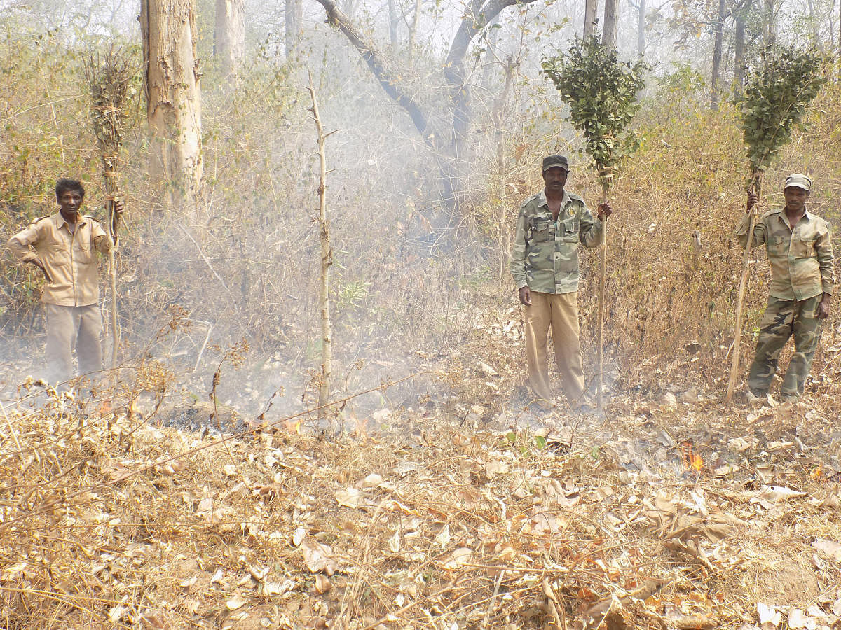 Forest department staff clear shrubs to prevent the spread of forest fire.