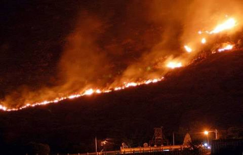 Palaniswami said 10 people, seven women and three men, were killed in the fire at Kurangani Hill range of the Western Ghats, around 500 km from Chennai, and expressed grief over the deaths. Twitter photo.