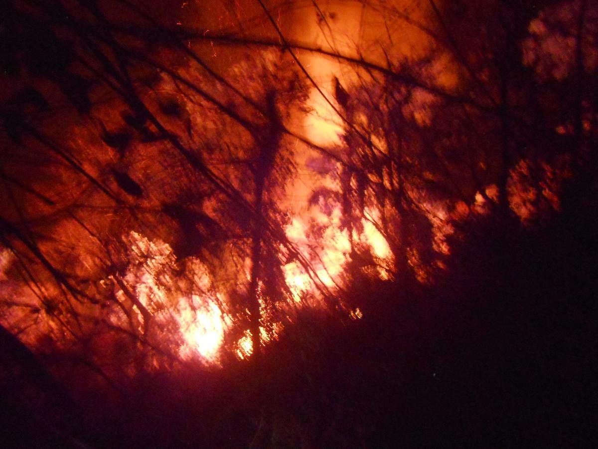A forest fire rages at Modalamane in Koppal taluk of Chikkamagaluru district on Monday. Forest fires are common in the December-April season. dh photo