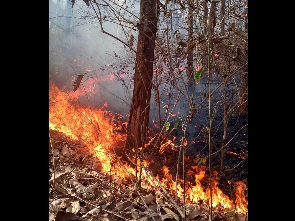 A forest fire near Kushalanagar in Kodagu district.