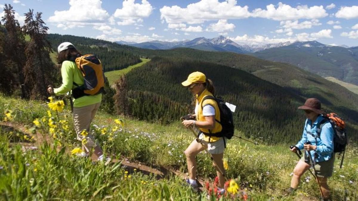 With hundreds of kilometres of trails dotted with blue, white and yellow wildflowers, hiking is a favourite pastime in the summer.