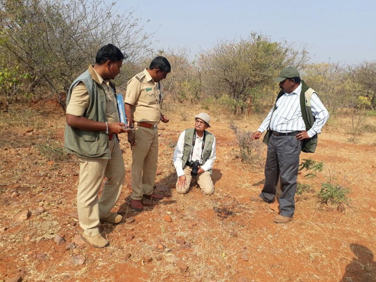 M R Desai (sitting) with a team in the Yadahalli forest.