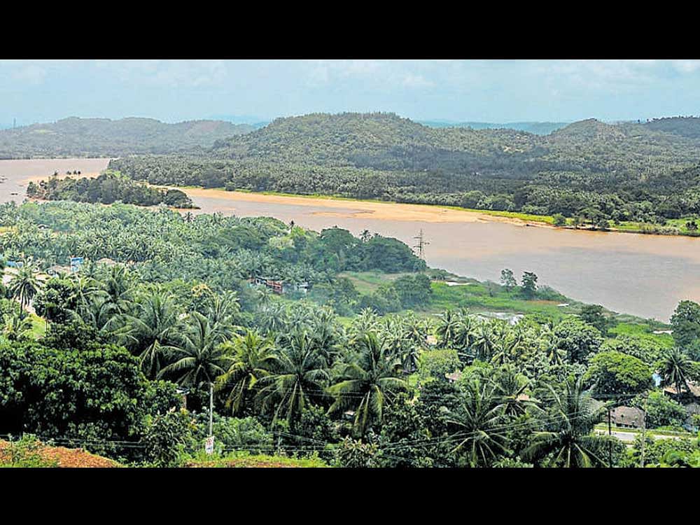 Netravathi river, DH file photo