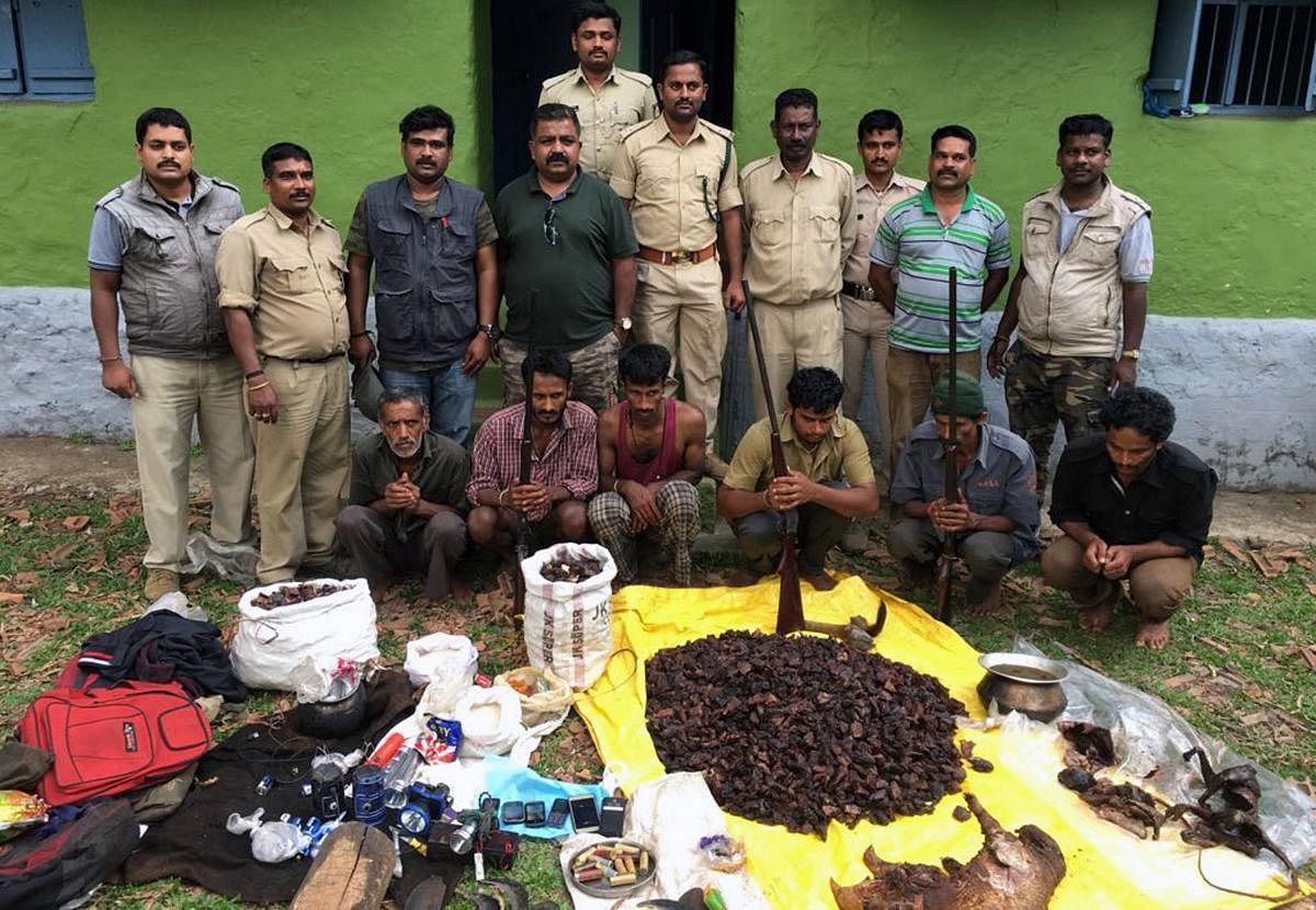 Forest Department staff arrested the poachers who hunted wild animals in Pushpagiri wildlife zone, in Somwarpet, on Thursday.
