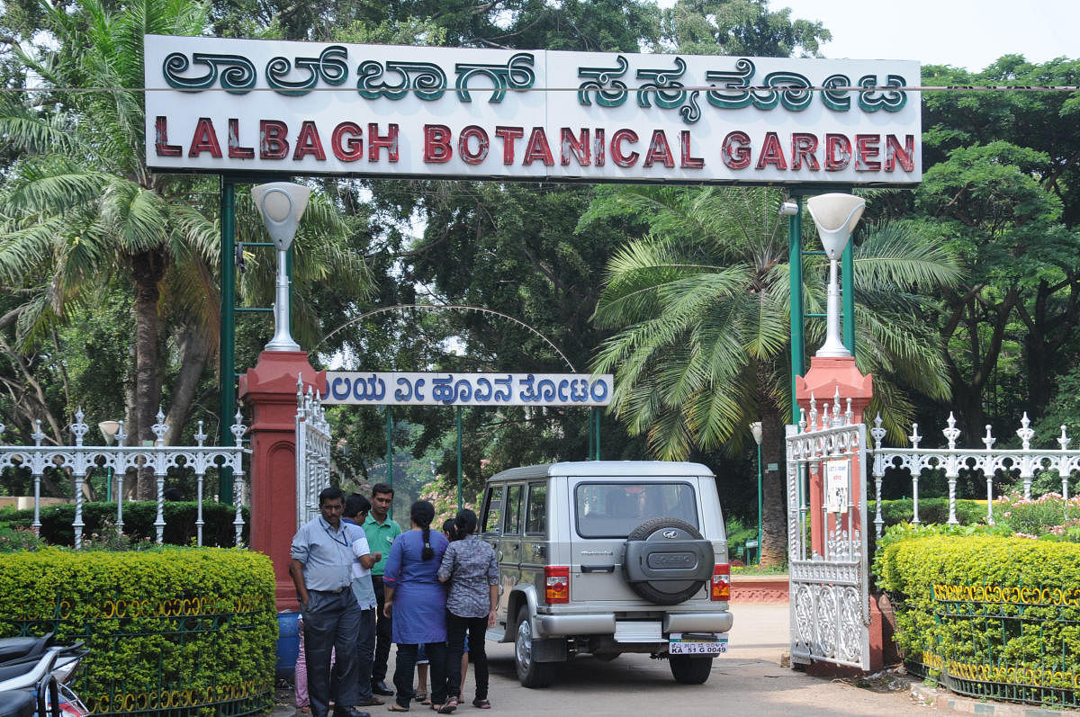 Vehicle movements inside Lalbagh Botanical Garden in Bengaluru on Friday. DH Photo by S K DineshLalbagh