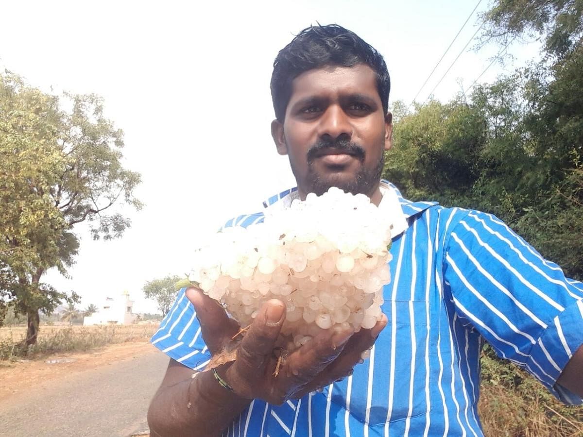 A huge hailstone which fell in Gundlamandikal village of Chikkaballapur taluk on Monday. DH Photo