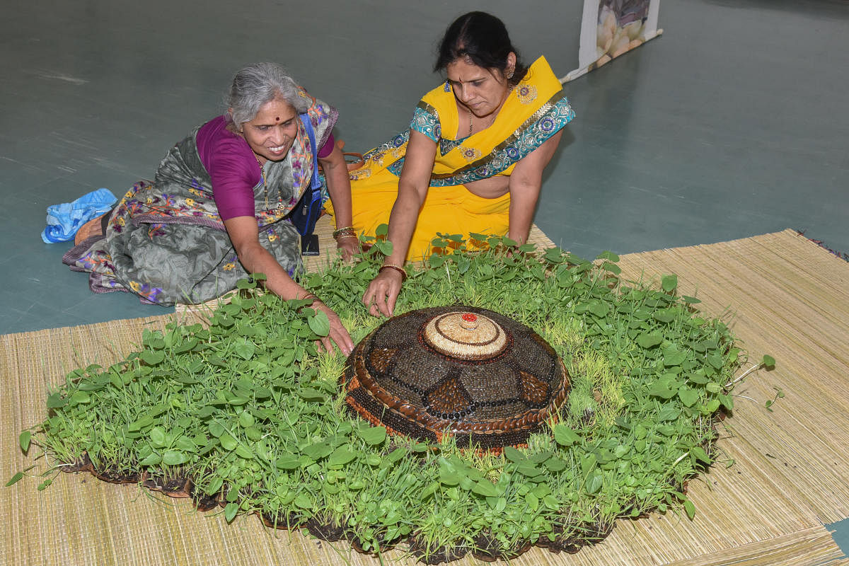 Two farmers create a replica of the human eye using saplings and seeds at the 'Land and Lens' exhibition at the Venkatappa Modern Art Gallery in the city. DH Photo/S K Dinesh