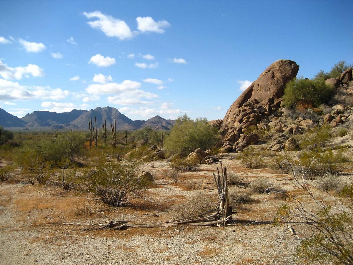 Complex ecosystems may turn from a desert into a grassland or change from being lush green forests to barren deserts.