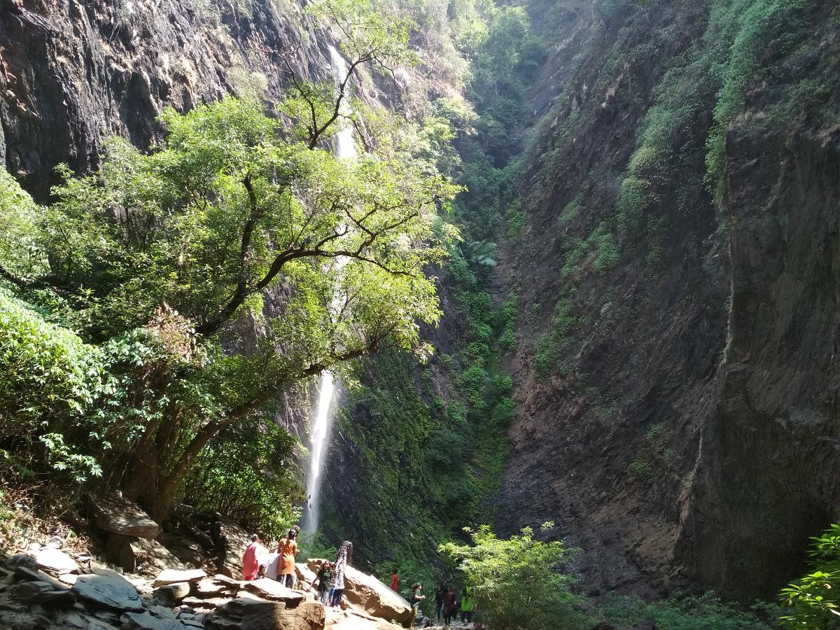 A view of Kudluteertha Waterfalls near Hebri. Photo by Author