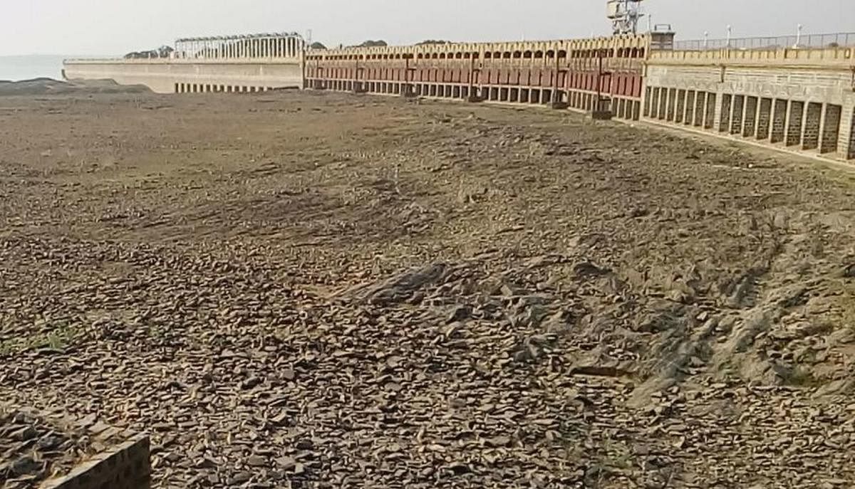 A file photo of near dry KRS dam in Srirangapatna taluk of Mandya district. DH Photo0
