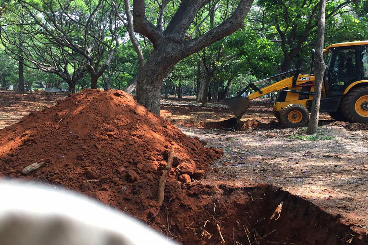 Excavators cut roots and damaged roots while clearing the ground for manicured lawns in Cubbon Park