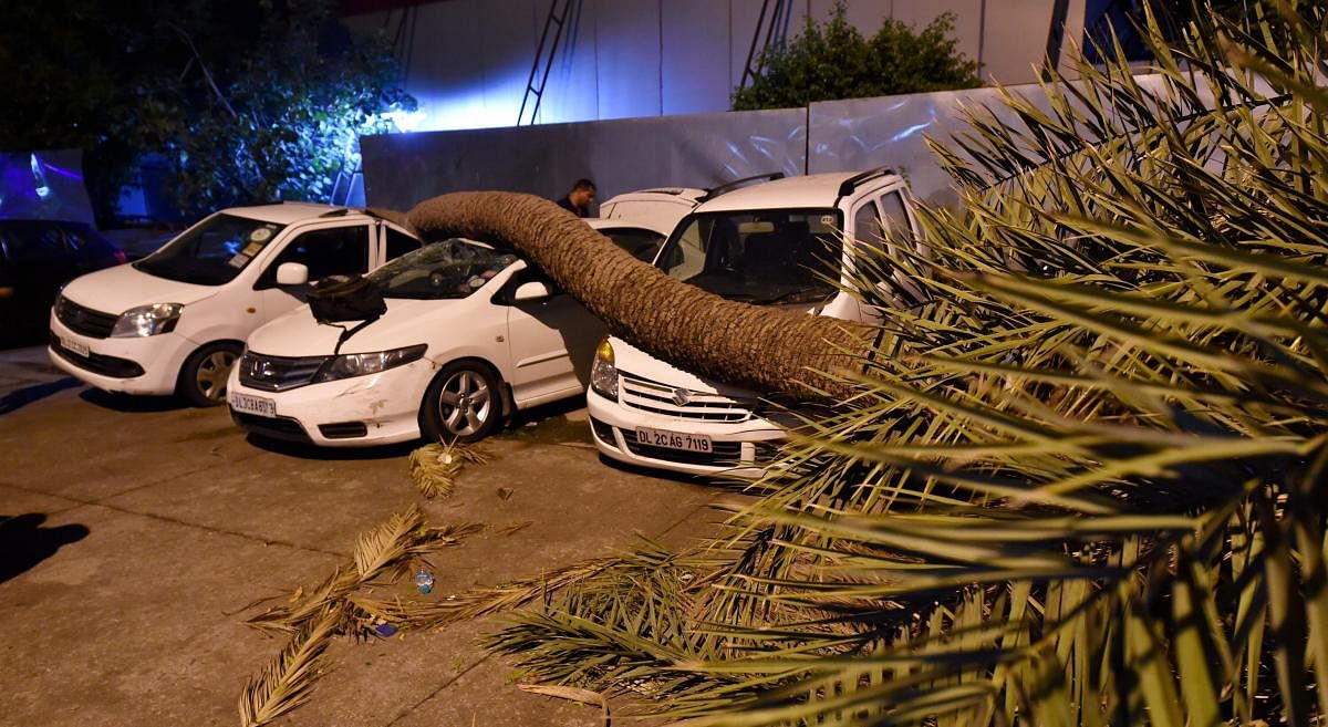 A palm tree trunk fell on cars during dust storm in New Delhi, on Sunday. PTI Photo