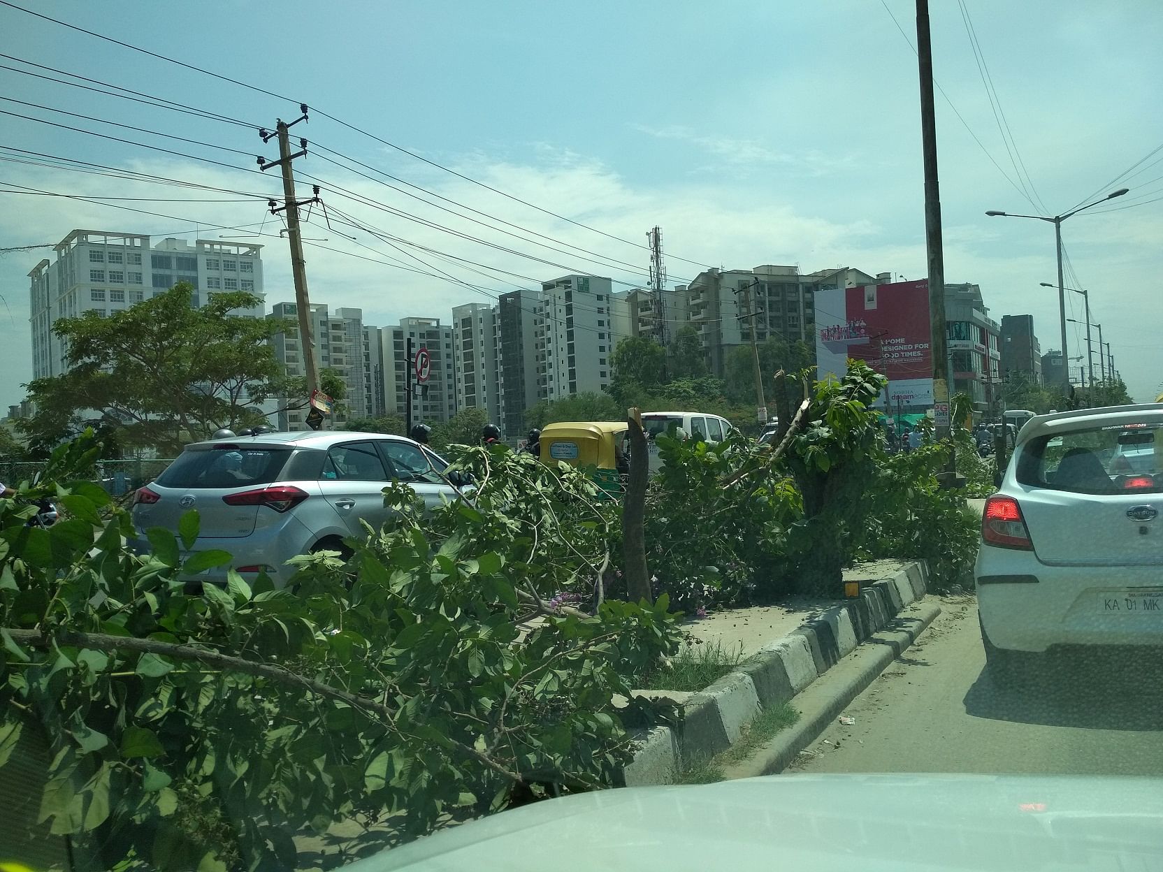 Trees lining this road in Marathahalli were chopped so that the hoarding in the distance gets seen better.