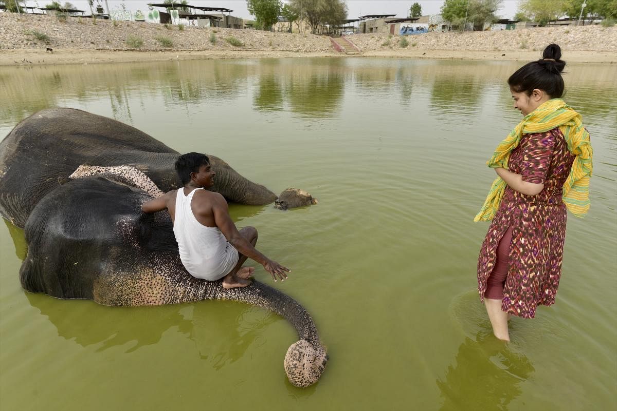 A woman watches as a mahout gives bath to an elephant in Haathi Gaon on the outskirts of Jaipur. Photo Courtesy: Anchit Natha