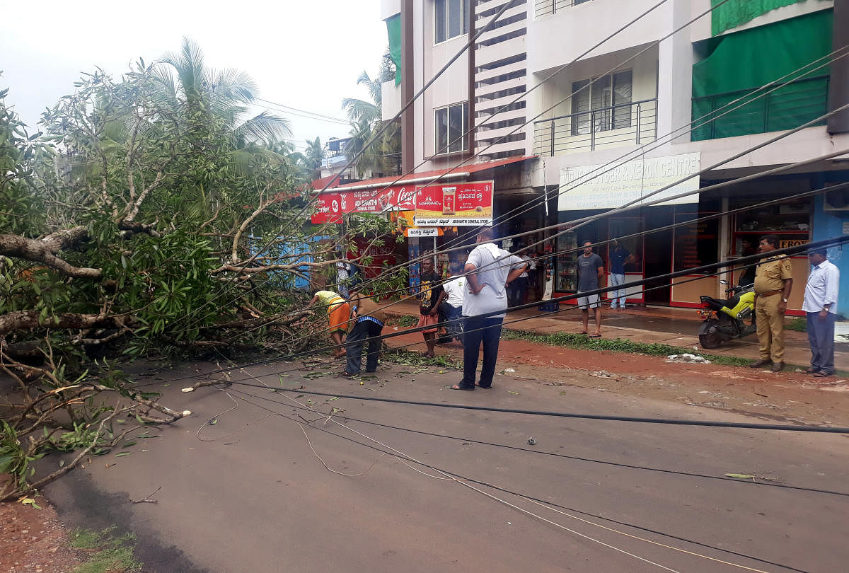 Electricity wires were damaged when a tree fell on them on the Manipal-Ishwarnagara Main Road in Udupi.