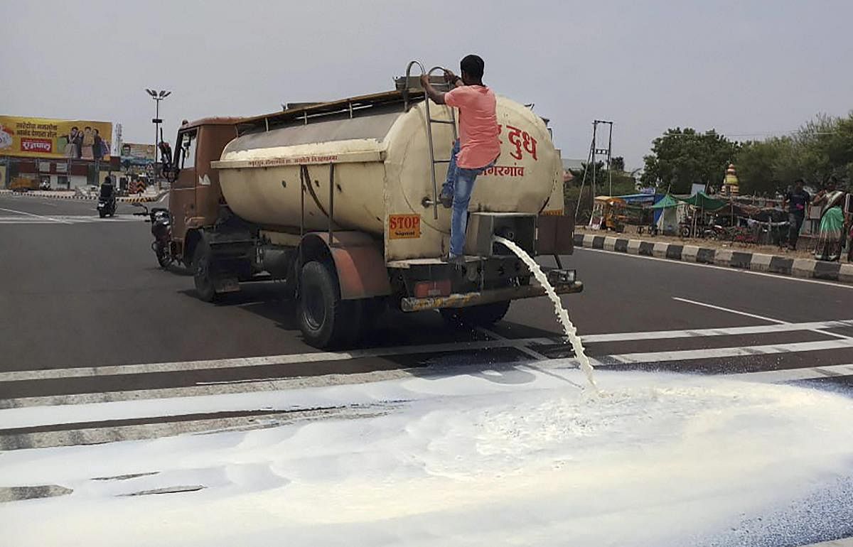 Farmers from Ahmednagar spill milk on a road during a state-wide protest, in Pune on Friday. PTI