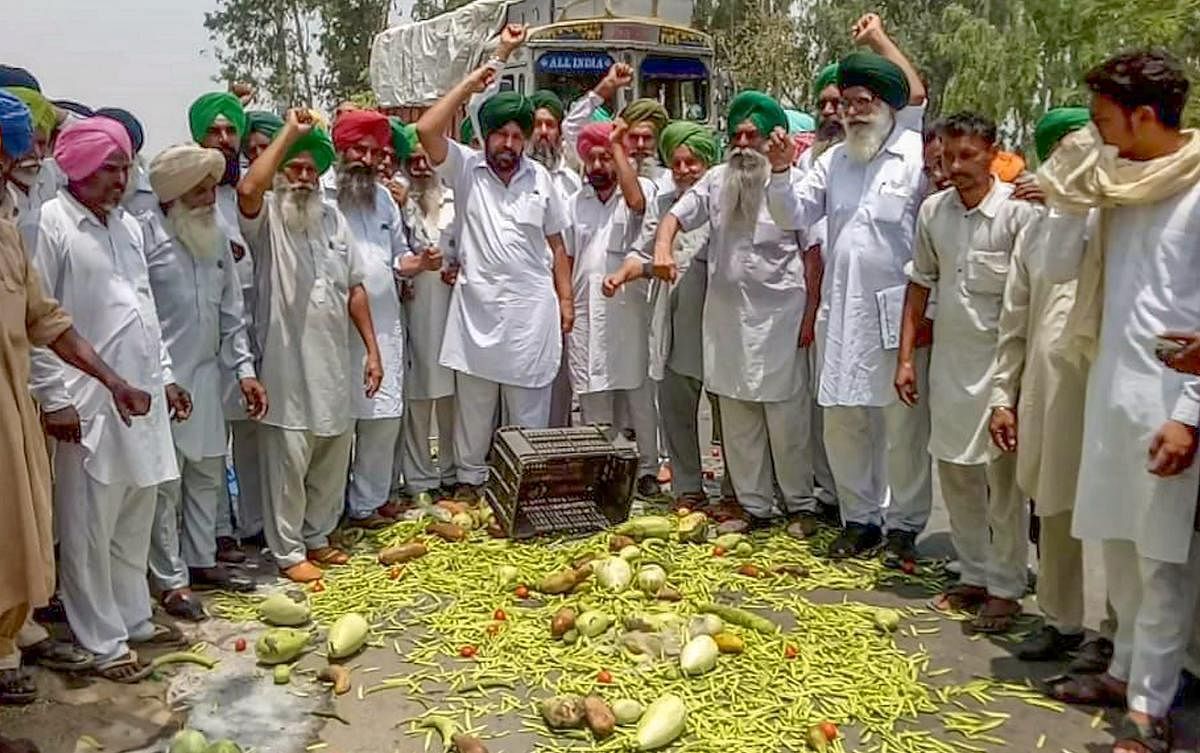 Farmers throw vegetables on a road during a state-wide protest, at Bagha Purana in Moga district of Punjab. PTI Photo