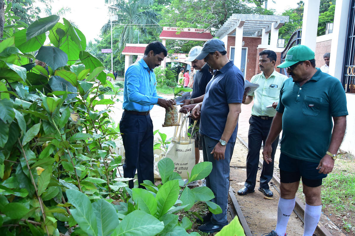 Saplings were distributed to people on the occasion of World Environment Day, observed by Prajavani - Deccan Herald at Kadri Park in Mangaluru on Tuesday. DH PHOTO