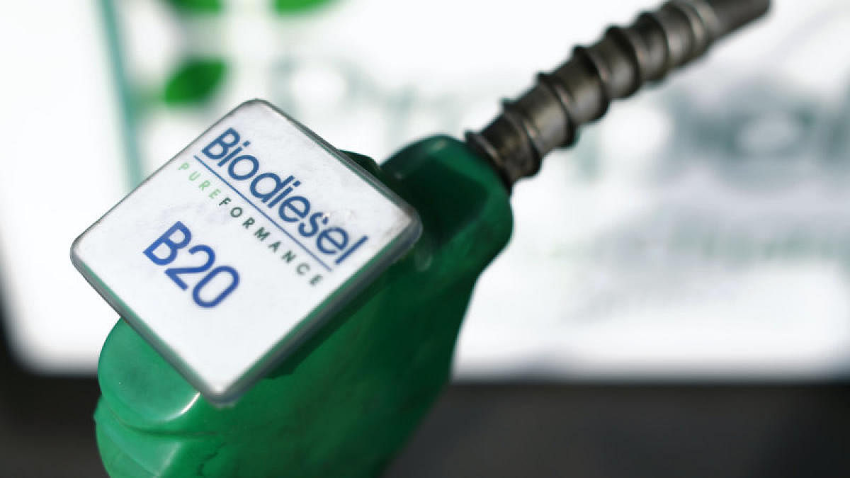 A fuel nozzle from a bio diesel fuel pump is seen in this photo illustration taken at a filling station in San Diego, California January 8, 2015. With gas pump prices lingering near their lowest levels in five years, greener, cleaner alternative fuels are
