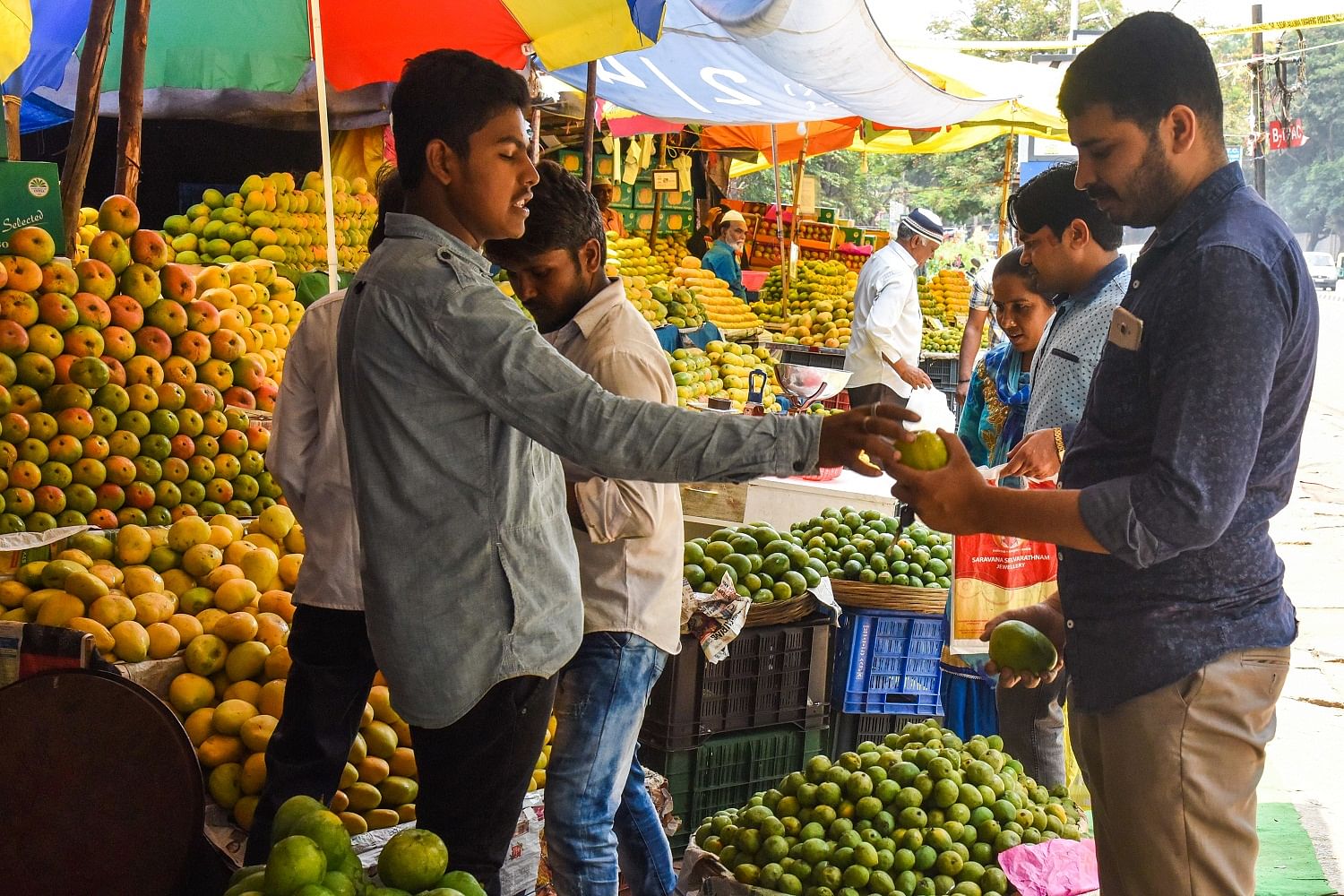 Mango prices have come down towards the end of the season.