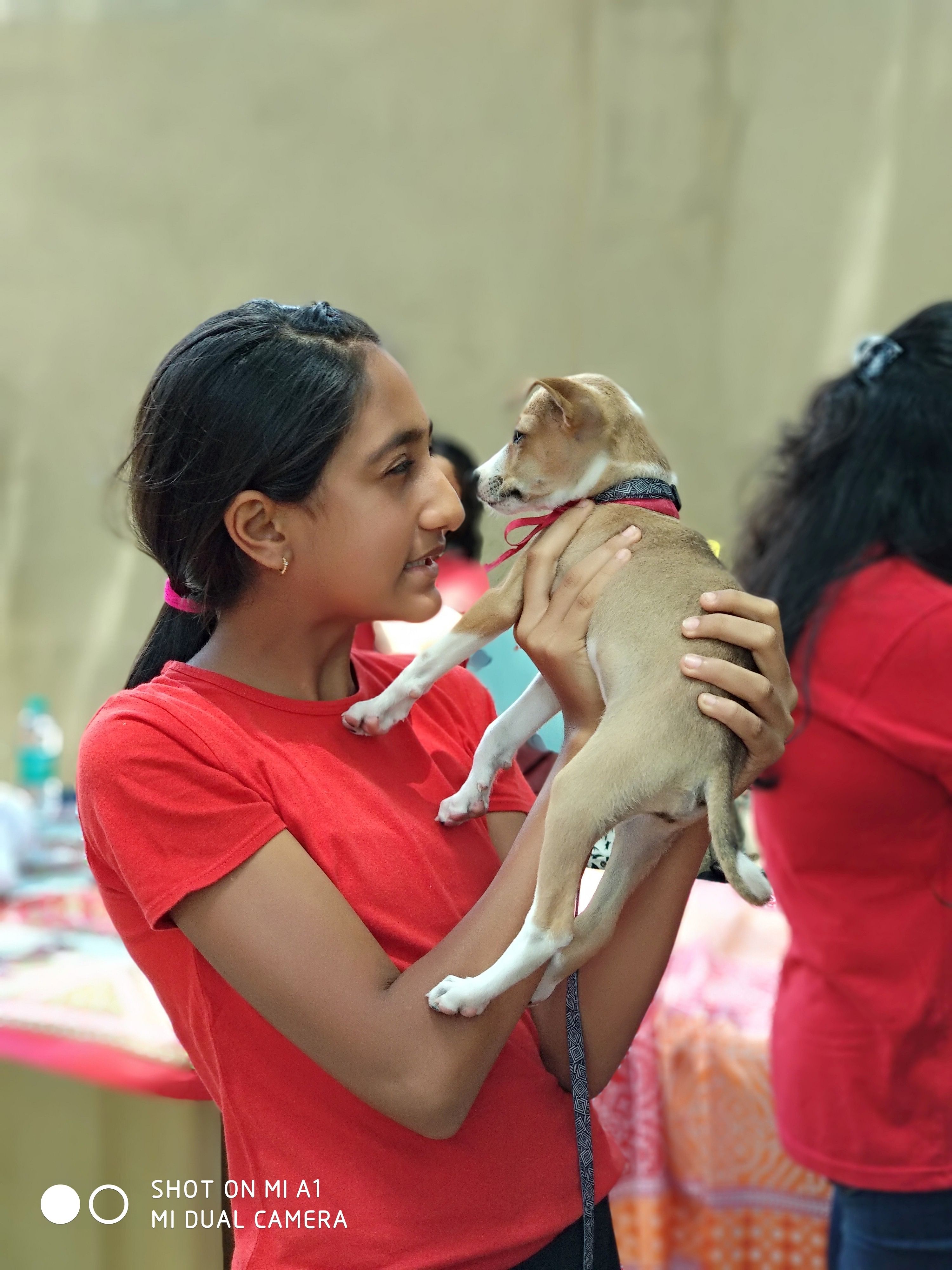 Five of eight puppies on display were adopted by employees of the company in just a couple of hours of Wednesday