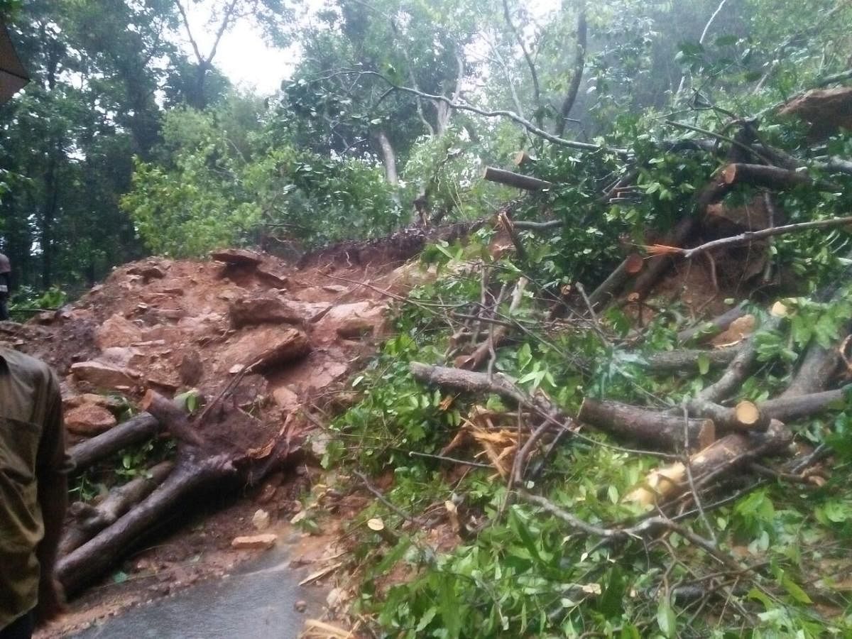 A landslide caused by heavy rain, blocking the Charmadi Ghat to Mangaluru, on Tuesday. DH photo