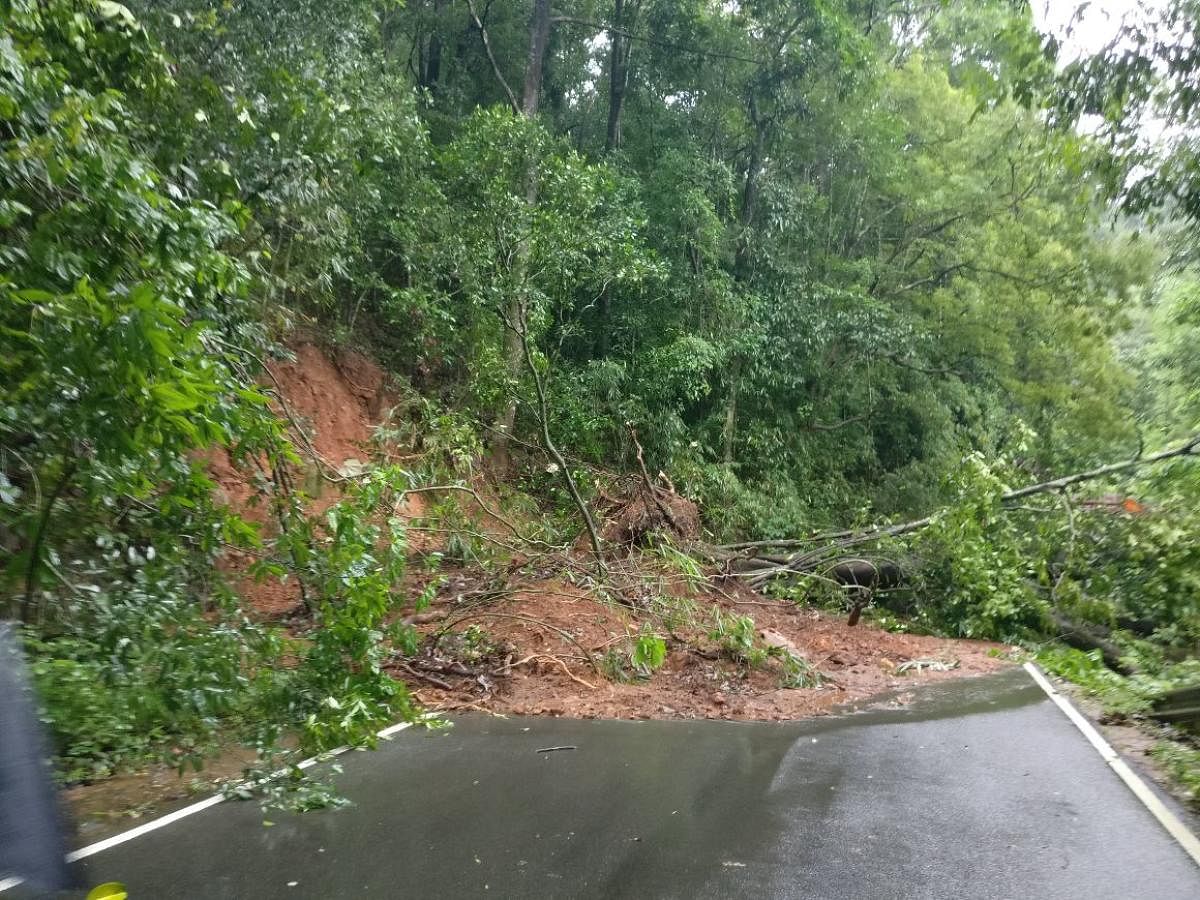 The NHAI staff cleared the soil on the road. Labourers are engaged in laying stormwater drains for the free flow of rainwater. A team of NHaI officials led by chief engineer Raghavan visited Charmadi Ghat and assessed the situation. DH Photo