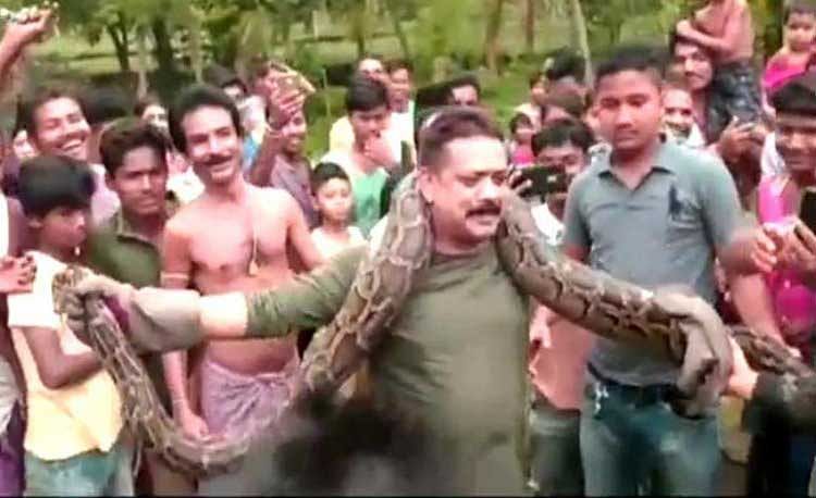 Wildlife officer Sanjay Dutta was called in Sunday by frantic villagers in West Bengal after they saw the 40-kilogramme (88-pound) python swallowing a goat alive.  Instead of placing it safely inside a bag, the ranger wrapped it around his neck and posed for pictures with stunned villagers. Screengrab