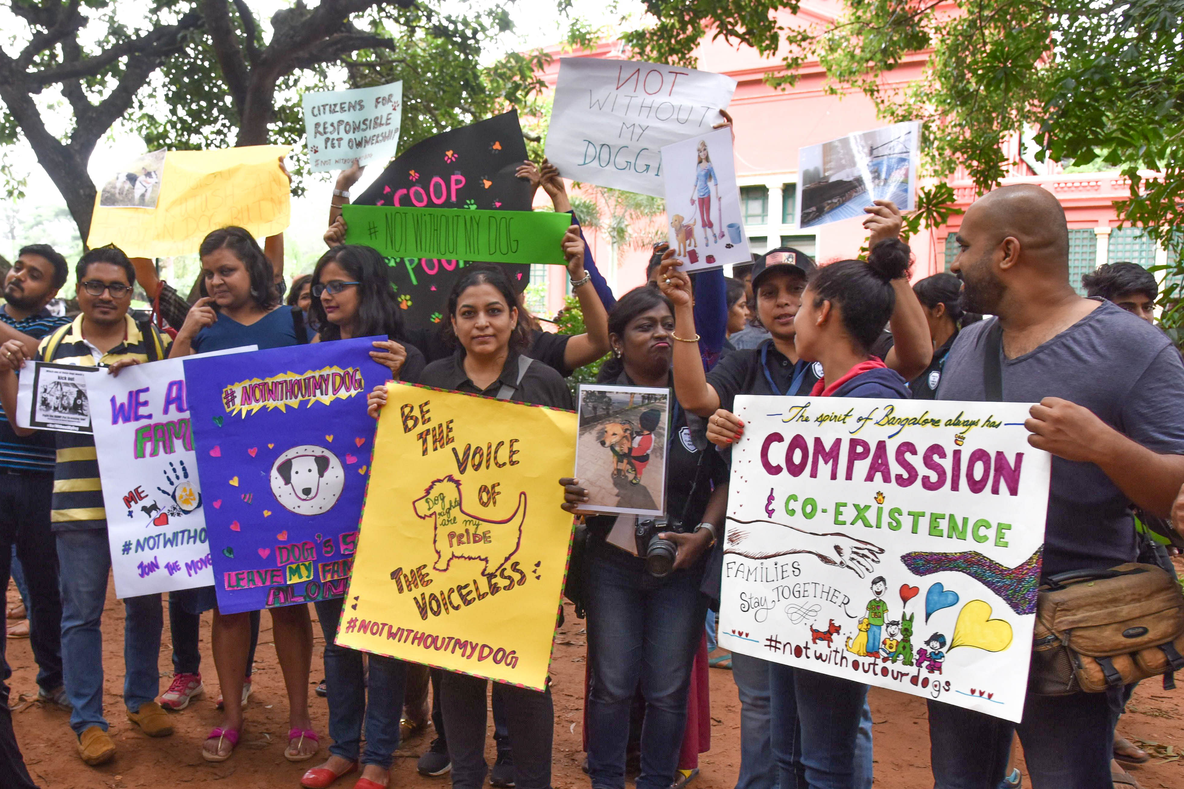 The #notwithoutmydog solidarity event at Cubbon Park happened on a Sunday.