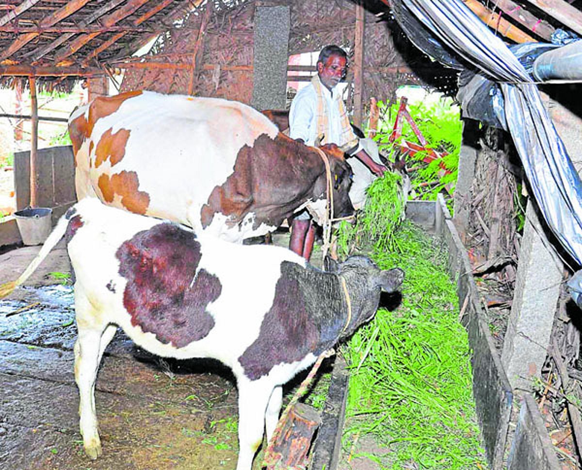 Holistic approach to farming