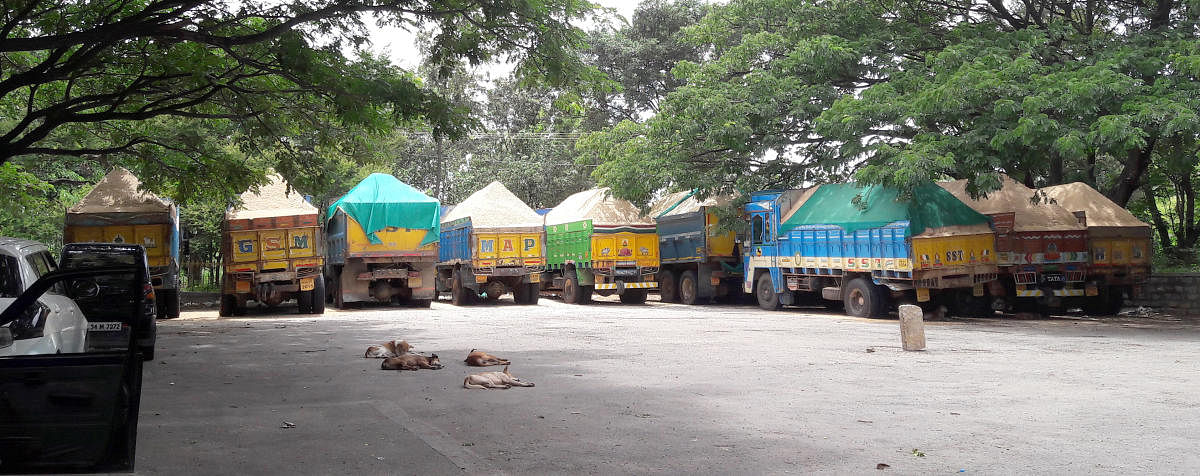 Sand lorry's being parked at Gynanabharati parking place near Gynabharati campus in Bengaluru on Tuesday.