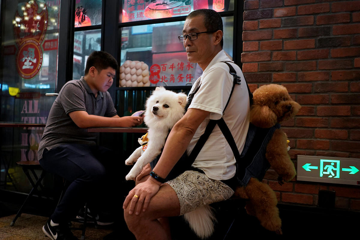 A man carries his two dogs at a street market in Shanghai, China. (Reuters Photo)