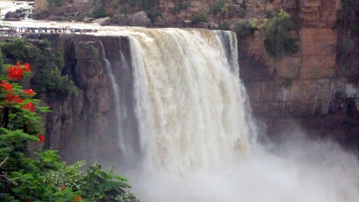 The Gokak Falls in Belagavi district has come alive due to the increased inflow to River Hiranykeshi, following heavy rain. dh photo