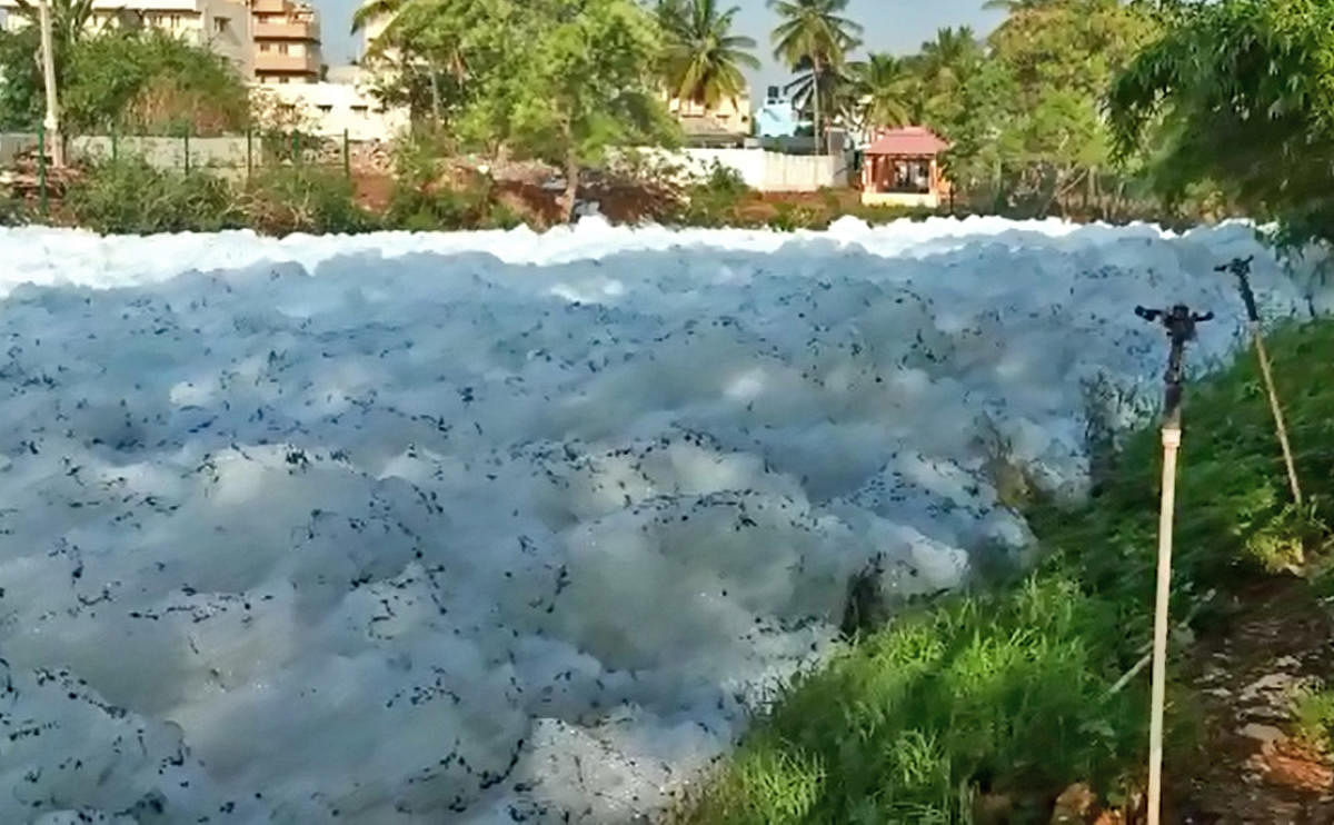 Bellandur lake foam at Varthur in Bengaluru on Friday.