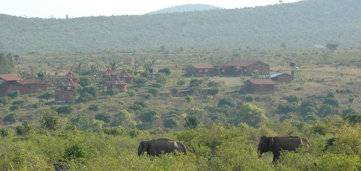 CAUSE FOR CONCERN: The proposed rule allows development of tourism infrastructure in less than 5% area of private conservancy. DH FILE PHOTO/ REPRESENTATIVE IMAGE
