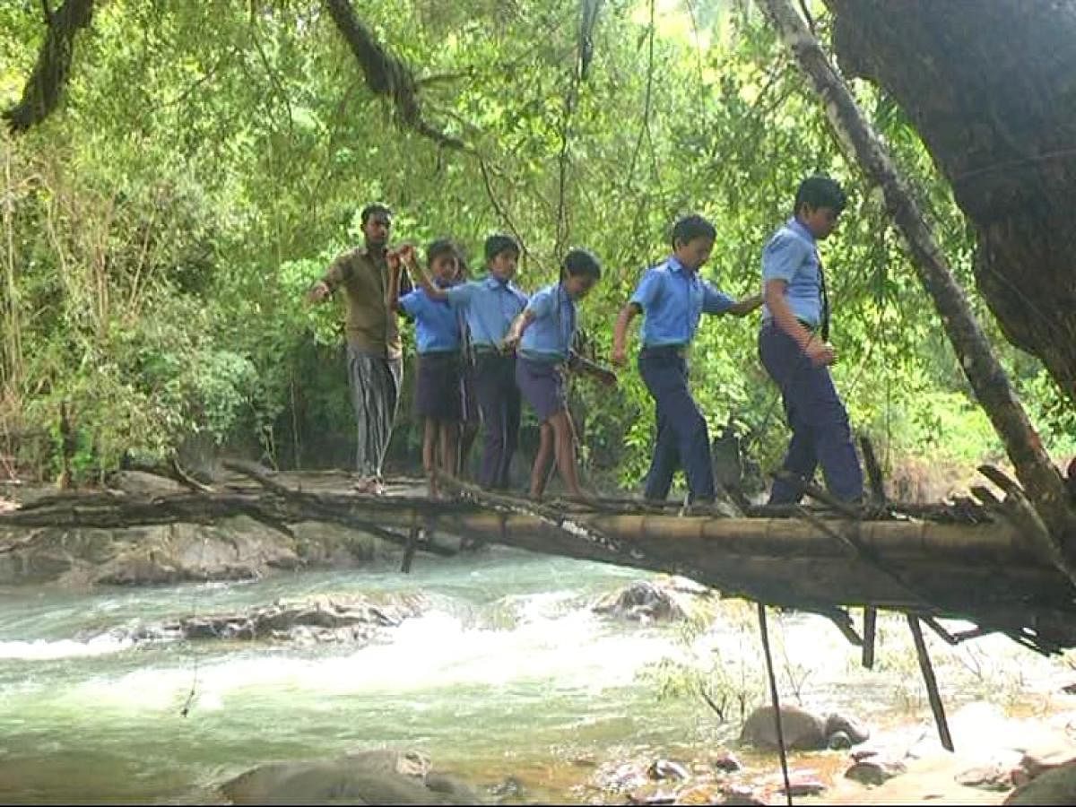 Schoolchildren cross the delicate hanging bridge near Karike, Madikeri.