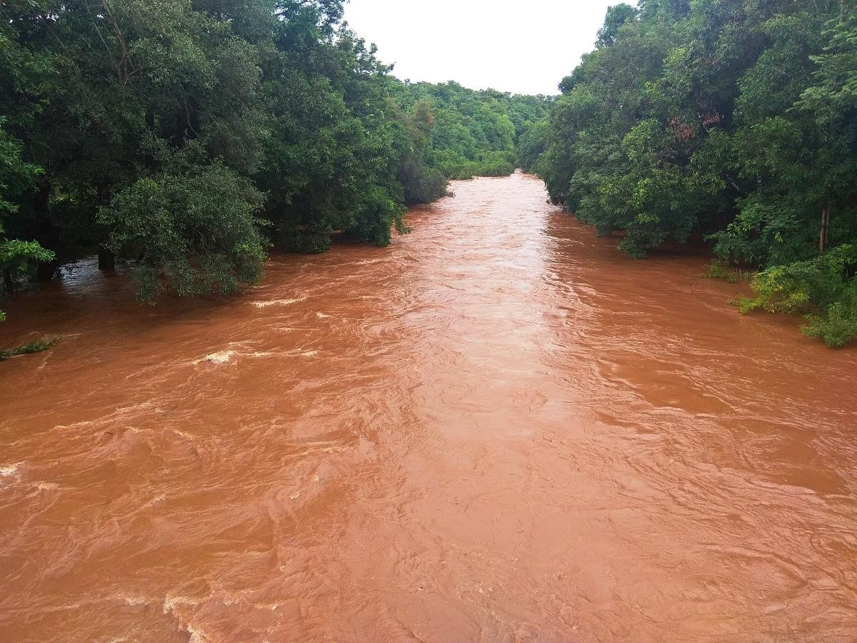 Malaprabha river in spate, following heavy showers, at Shankarpet forests on Jamboti-Jatt state highway in Khanapur taluk of Belagavi district, on Sunday.