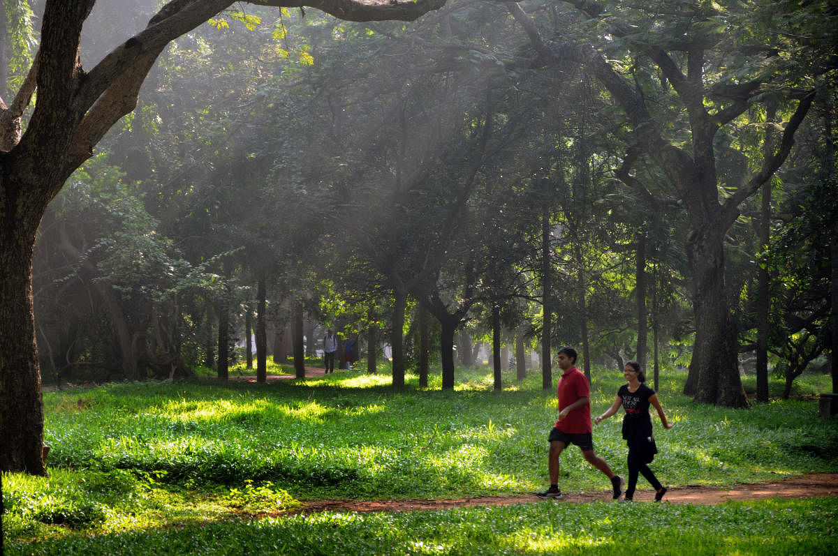 The team analysed how the health of people with little access to green spaces compared to that of people with the highest amounts of exposure. (DH File Photo)