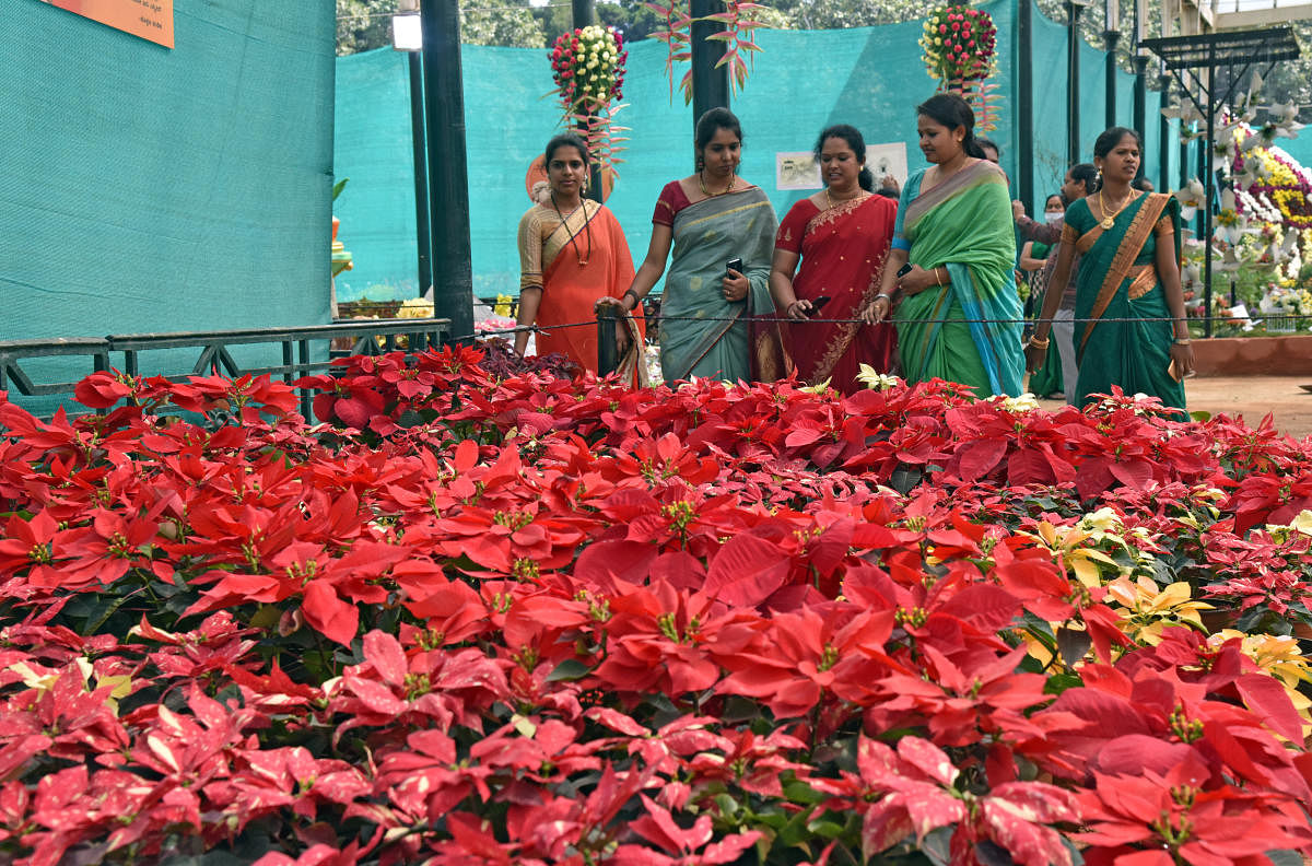 The flower show will have soldiers and 85 years of Kannada film industry as its themes. DH FILE