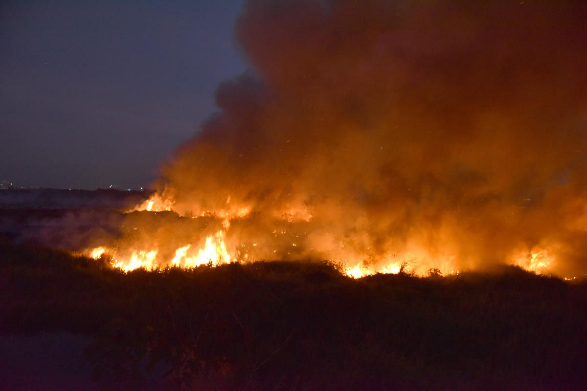 Fire engulfs the Bellandur Lake. DH FILE PHOTO
