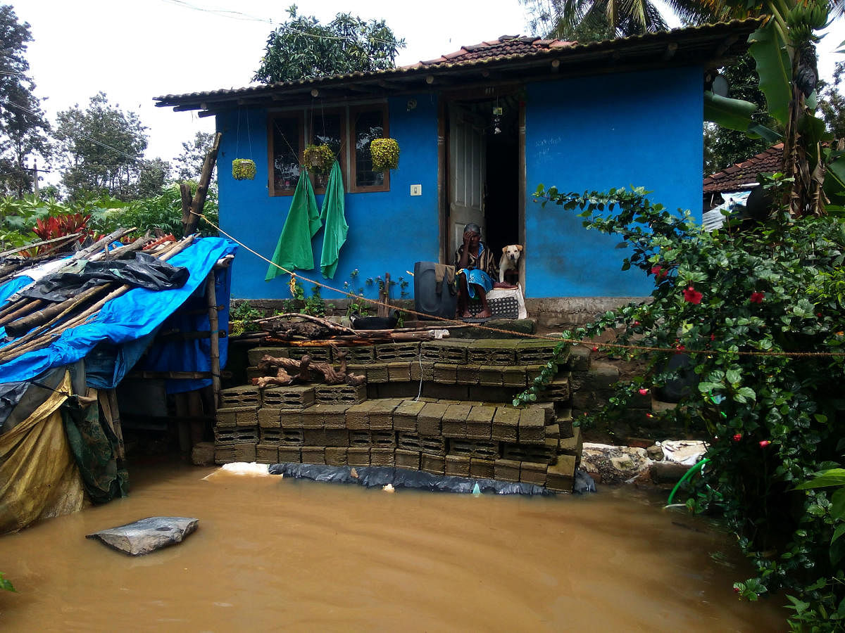 A woman sits with her pet outside her inundated house in Karadigodu near Siddapura and looks helplessly at the floods on Thursday.