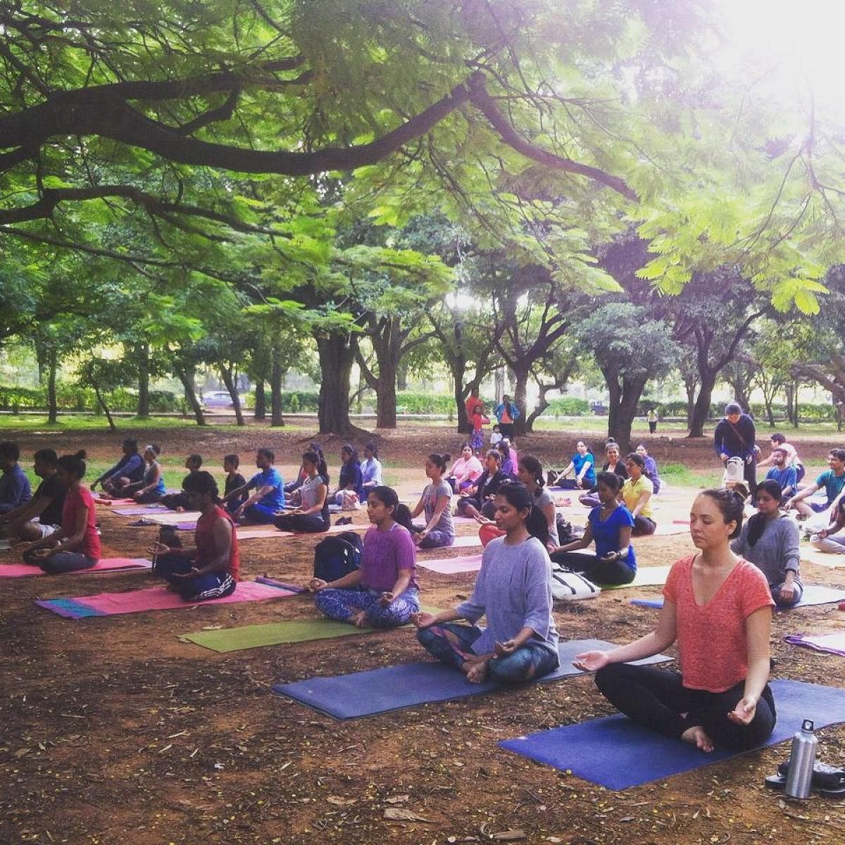 'Yoga Mat-ters' in Cubbon Park.