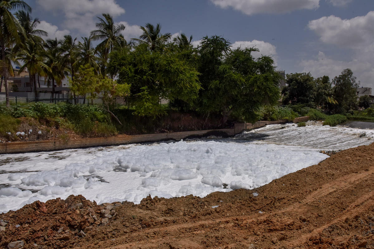 Foam is seen in Bellandur lake at Bellandur Kodi in Bengaluru on Friday. Photo by S K Dinesh