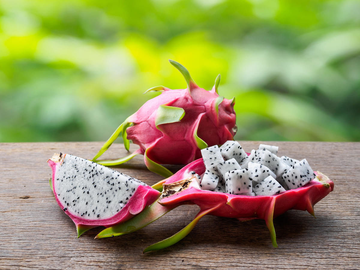 White-fleshed and red-fleshed dragon fruits (top) are cultivated in Karnataka.