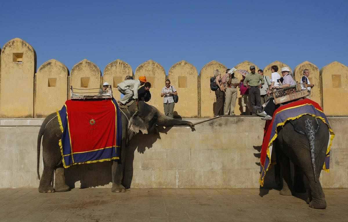 Tourists get off elephants after riding them into the Amer Fort on the outskirts of Jaipur. (AFP file photo)
