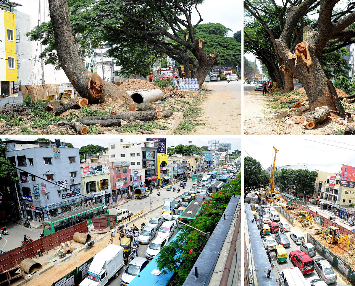 Tree and tree branches were chapped for the Jayanagar 9th block main road in Bengalur. Traffic movement was very slow on Jayadeva hospital flyover (from jayadeva towards BTM layout) due to Namma metro work on jayanagar and BTM layout in Bengaluru. Photo S