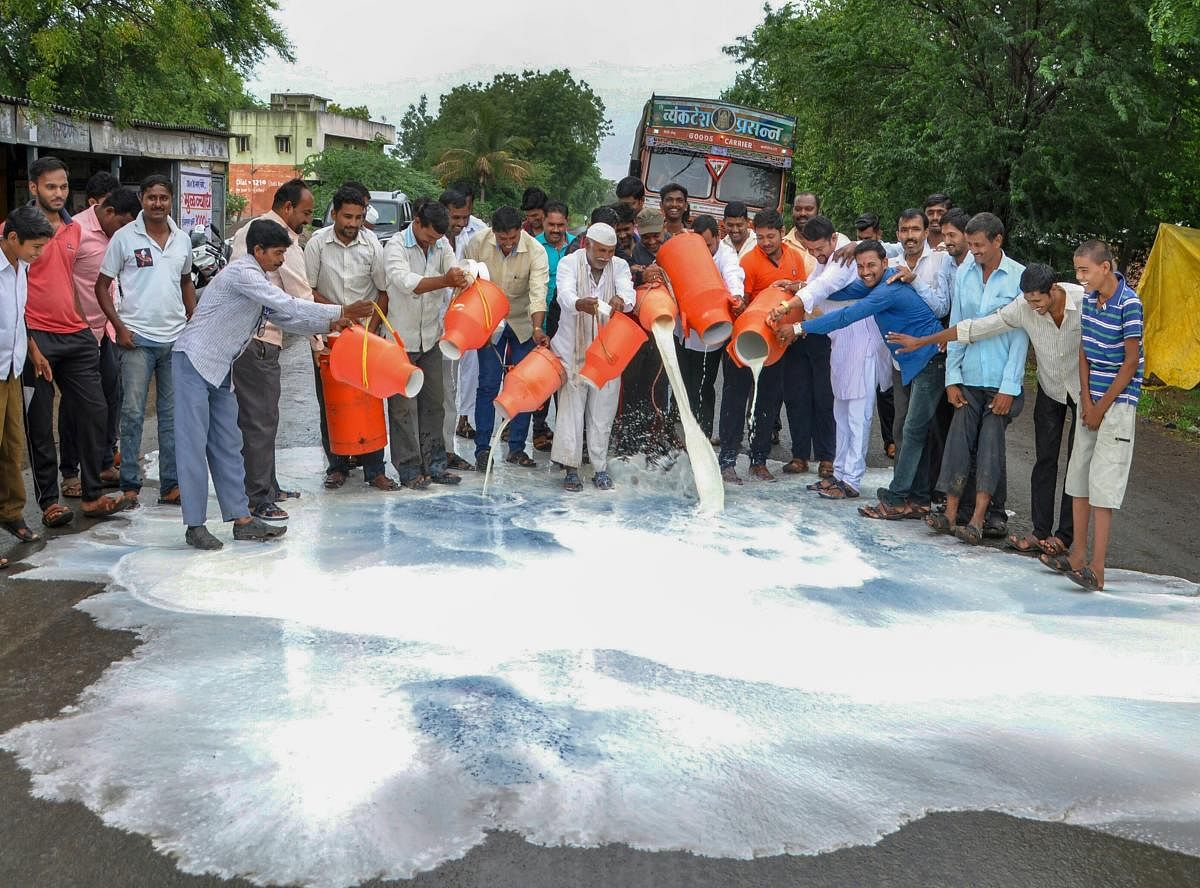 Swabhimani Shetkari Sanghatna activists during a demonstration demanding a subsidy of Rs 5 per litre of milk, waiver of goods and services tax on butter and milk powder among others, at Shiradhon Village in Ahmednagar. (PTI file photo)