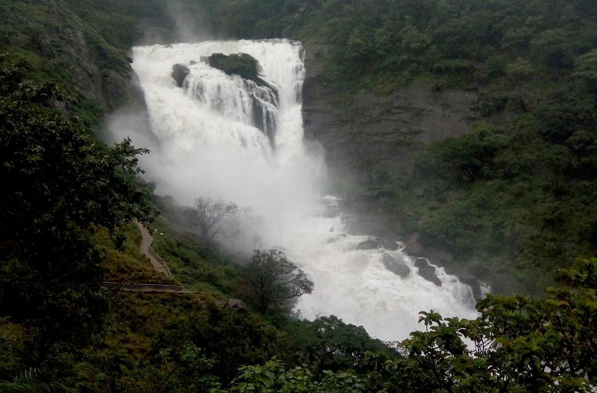 Mallalli falls near Somwarpet is in full splendour, following heavy rain in the region.